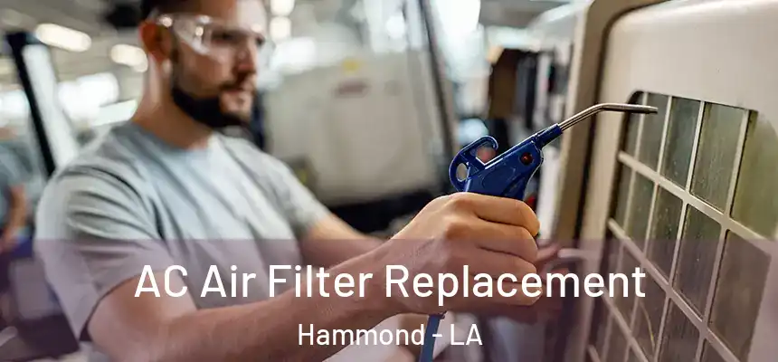 AC Air Filter Replacement Hammond - LA