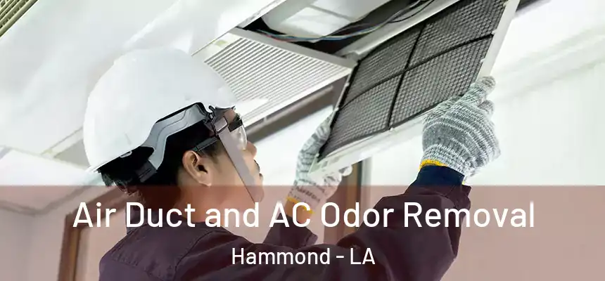  Air Duct and AC Odor Removal Hammond - LA