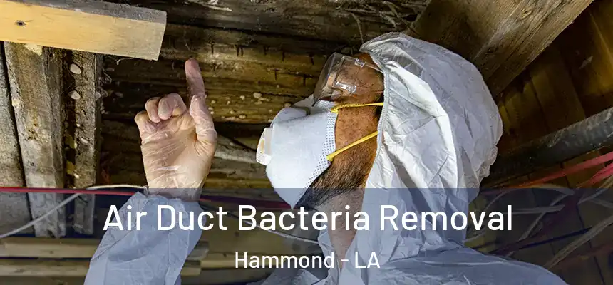 Air Duct Bacteria Removal Hammond - LA