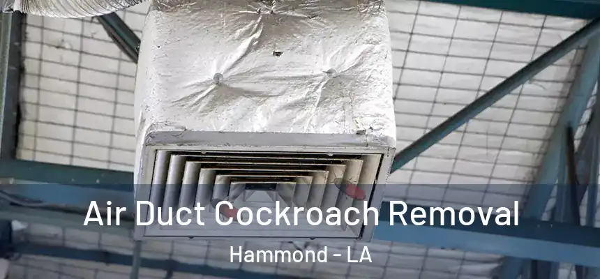  Air Duct Cockroach Removal Hammond - LA