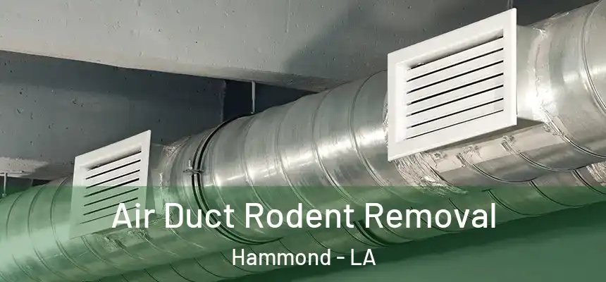 Air Duct Rodent Removal Hammond - LA