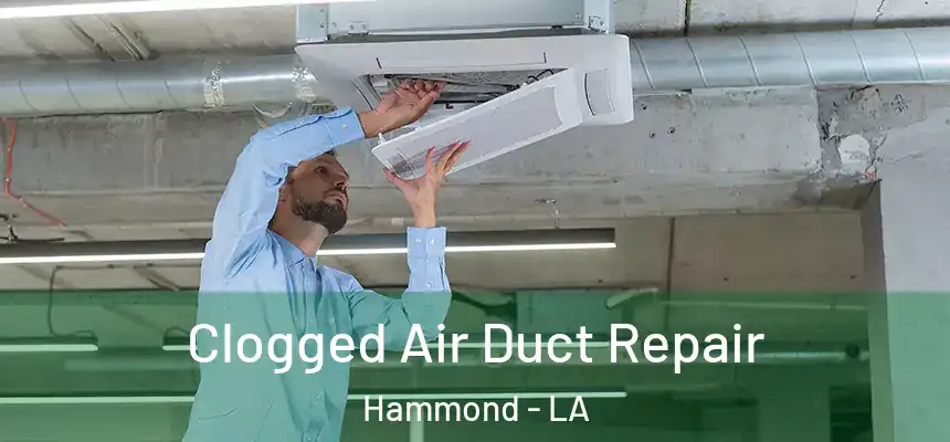  Clogged Air Duct Repair Hammond - LA