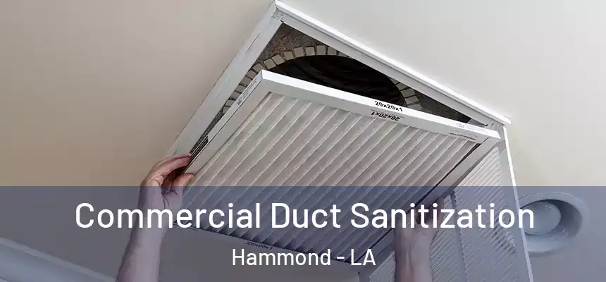 Commercial Duct Sanitization Hammond - LA