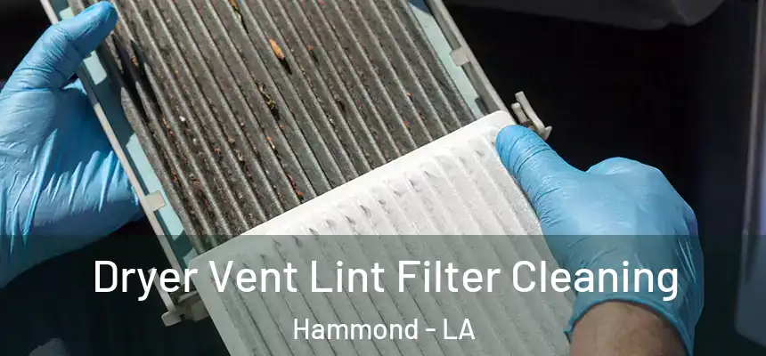 Dryer Vent Lint Filter Cleaning Hammond - LA