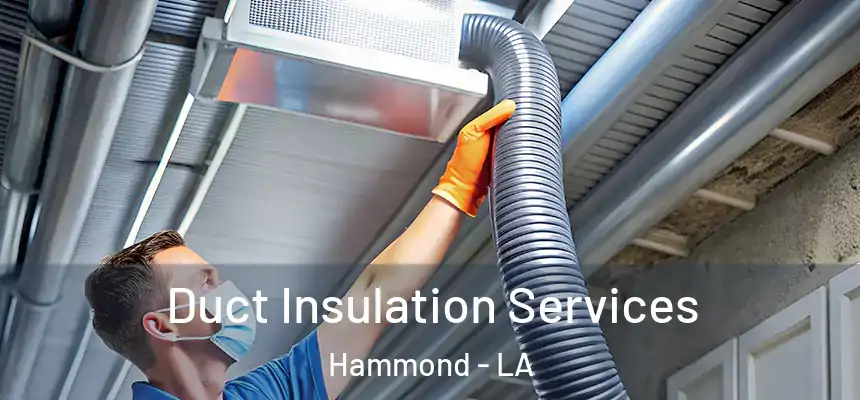 Duct Insulation Services Hammond - LA