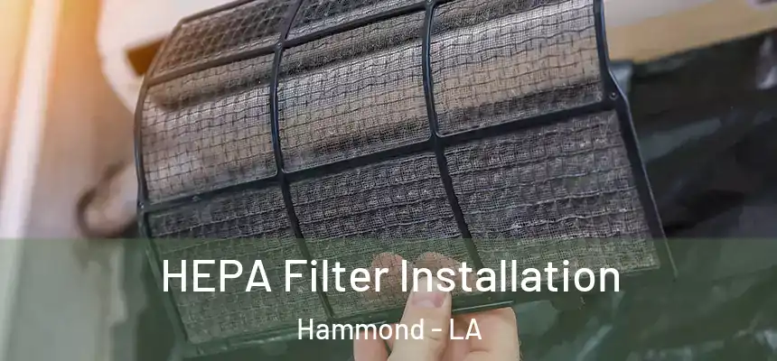 HEPA Filter Installation Hammond - LA