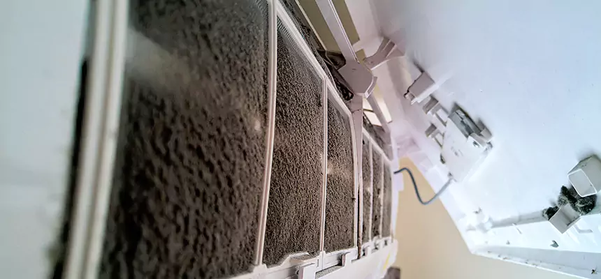 Preventive Air Duct Bacteria Removal in Hammond