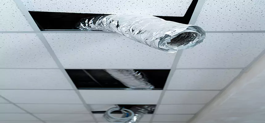 Affordable HVAC Sanitizing After Pest Removal in Hammond