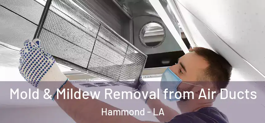  Mold & Mildew Removal from Air Ducts Hammond - LA
