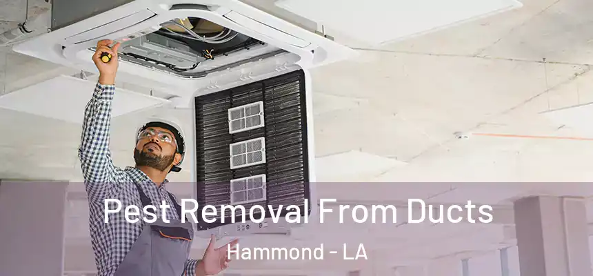  Pest Removal From Ducts Hammond - LA