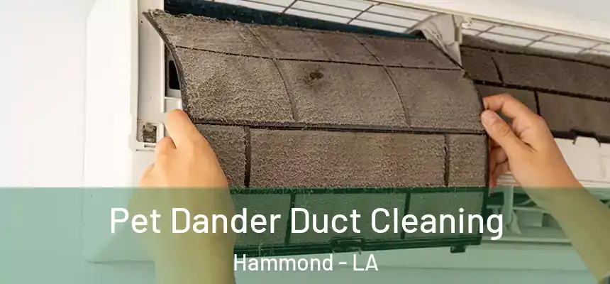  Pet Dander Duct Cleaning Hammond - LA