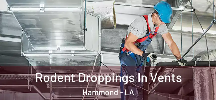  Rodent Droppings In Vents Hammond - LA
