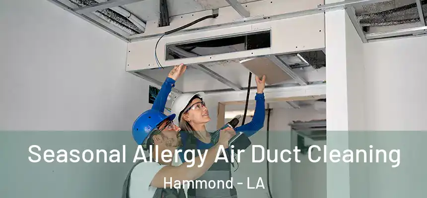 Seasonal Allergy Air Duct Cleaning Hammond - LA