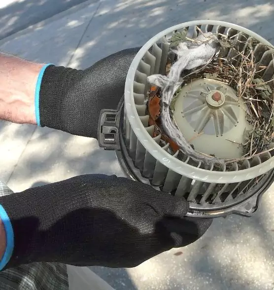 About Air Duct Mice Removal in Hammond, LA