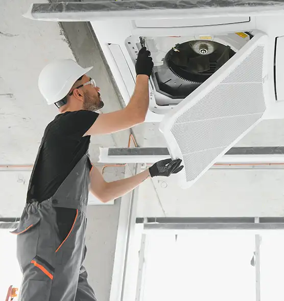 About Air Duct Rodent Removal in Hammond, LA