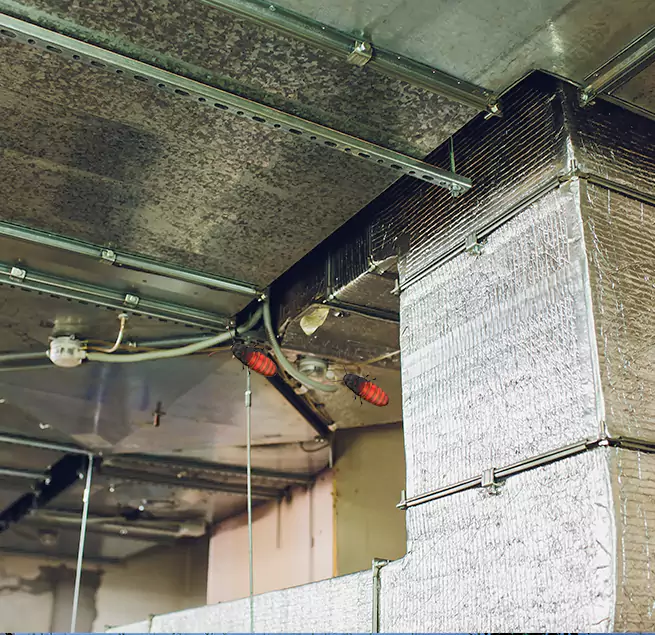 Why Homeowners & Businesses Trust Us Hammond, LA?