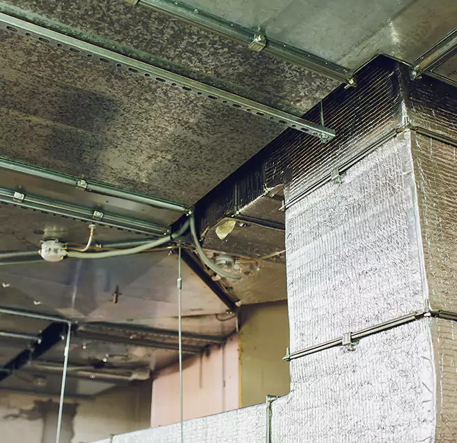 Why Homeowners & Businesses Trust Us in Hammond, LA?